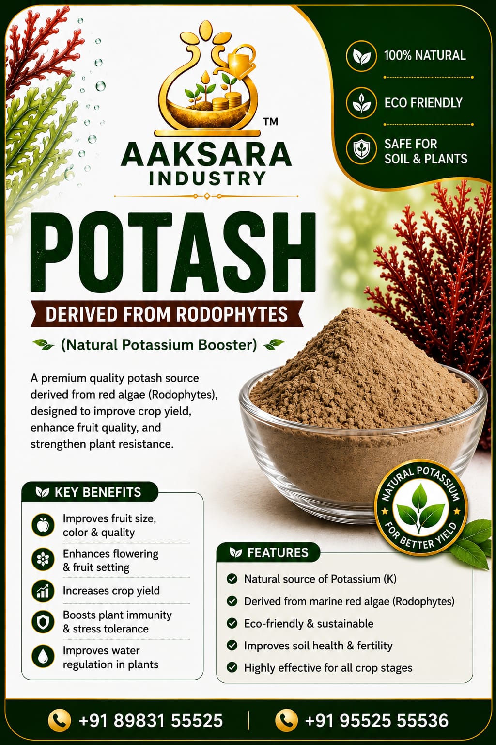 Aaksara Industry Potash Derived from Rodophytes